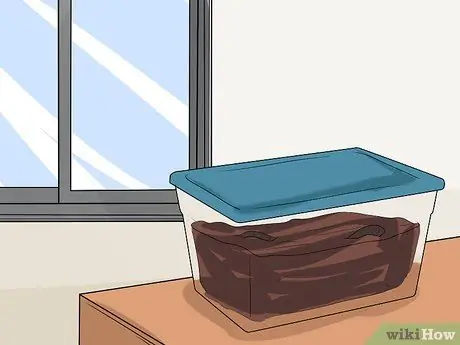 Сохраняйте жизнь рыболовных червей для рыбалки Шаг 8