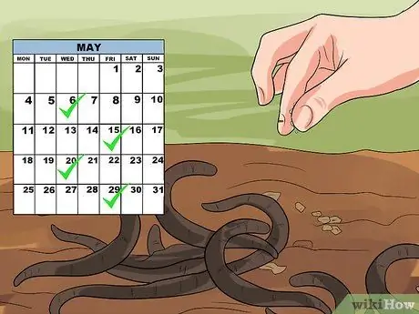 Сохраняйте жизнь рыболовных червей для рыбалки Шаг 9