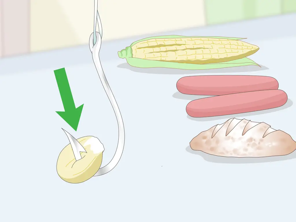 Как приготовить наживку для синеголова