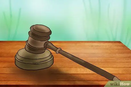 Подача апелляции за нарушение закона о животных Шаг 3