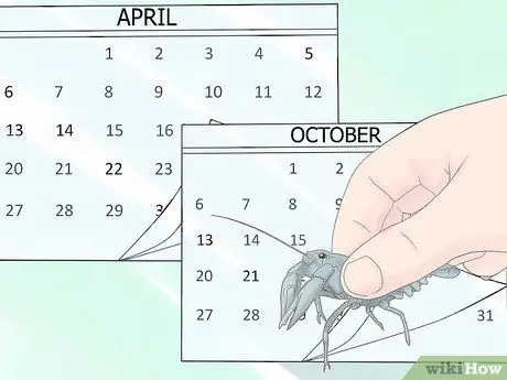 Поймать раков, шаг 5