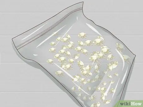 Прицепить песчаную блоху Шаг 11