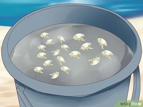 Прицепите песчаную блоху Шаг 9