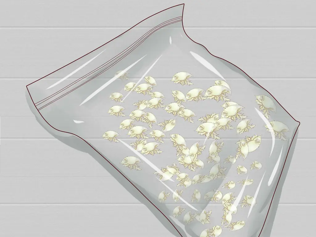 Как поймать песчаную блоху: 11 шагов (с иллюстрациями)