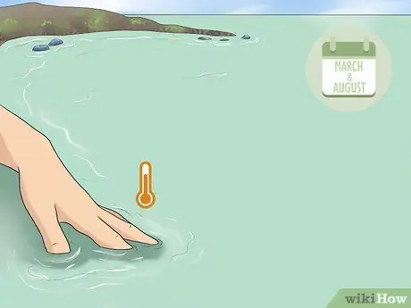 Поймать омаров Шаг 13