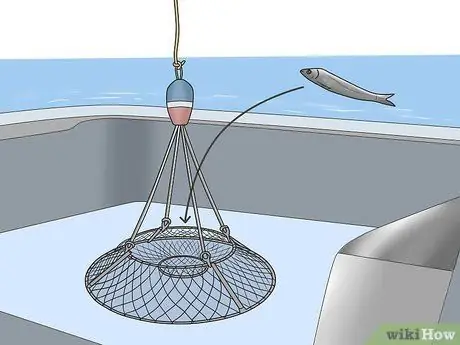 Поймать омаров Шаг 17