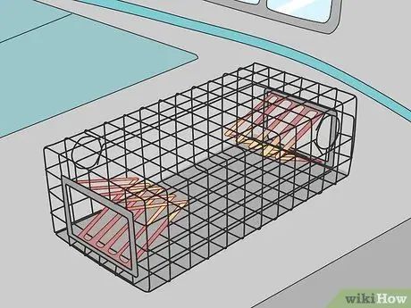 Поймать омаров Шаг 7