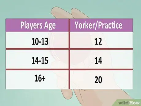 Bowl a Yorker Шаг 10