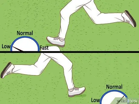 Bowl a Yorker Шаг 3