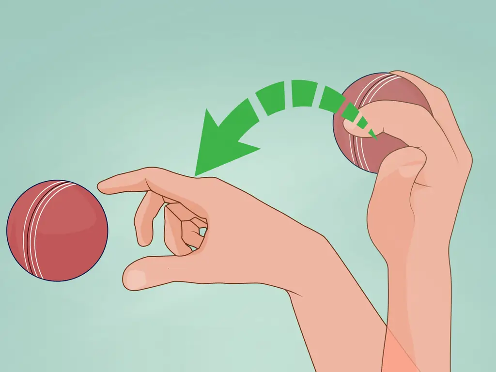 3 способа подбить йоркца