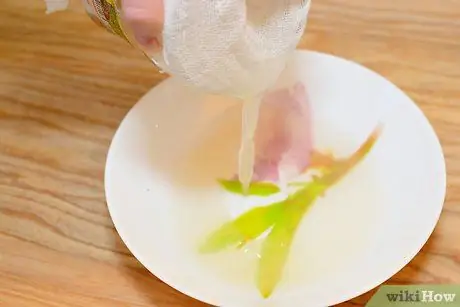 Ростки чечевицы Шаг 6