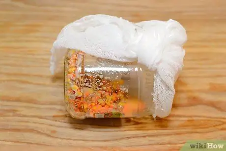 Ростки чечевицы Шаг 7