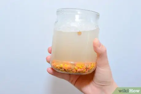 Ростки чечевицы Шаг 8