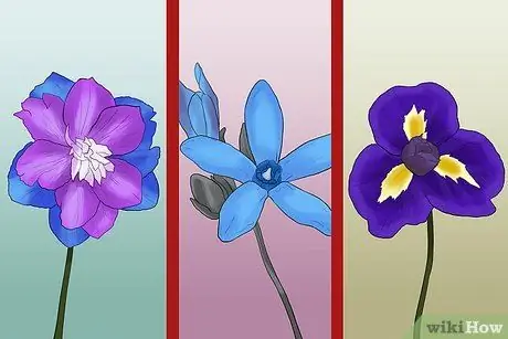 Выберите цветы для весенней свадьбы Шаг 4