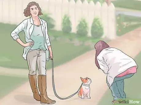 Дрессировка беличьей собаки Шаг 3