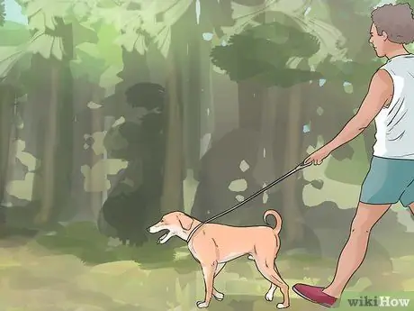 Дрессировка беличьей собаки Шаг 6