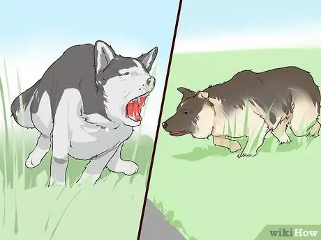 Жить с собакой с большим инстинктом добычи Шаг 11