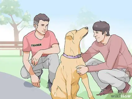 Жить с собакой с большим инстинктом добычи Шаг 7