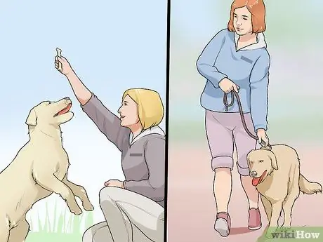 Жить с собакой с большим инстинктом добычи Шаг 8