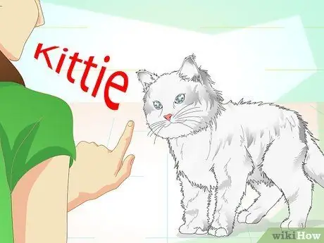 Заставьте гипер-кошку сесть, шаг 3