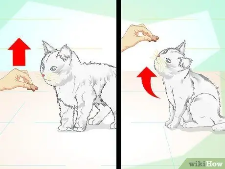 Заставьте гипер-кошку сесть, шаг 4