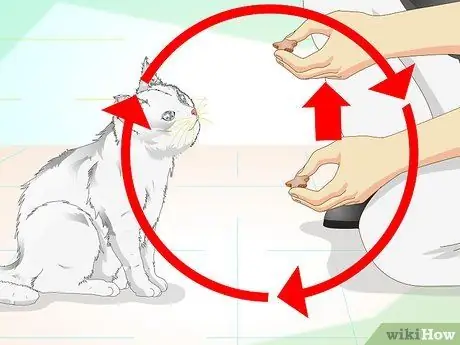 Заставьте гипер-кошку сесть, шаг 5