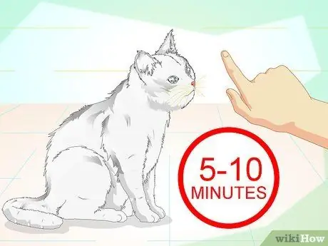 Заставьте гипер-кошку сесть Шаг 6