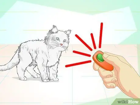 Заставьте гипер-кошку сесть шаг 7