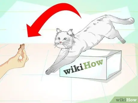 Заставьте гипер-кошку сесть Шаг 8