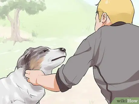 Проведите короткие тренировки с охотничьей собакой Шаг 1