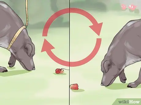 Проведите короткие тренировки с охотничьей собакой Шаг 10