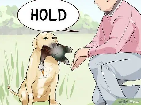 Проведите короткие тренировки с охотничьей собакой Шаг 13