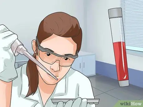 Диагностика эпилепсии у немецких овчарок Шаг 10