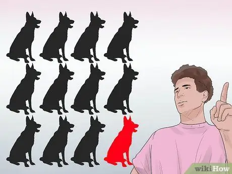 Диагностика эпилепсии у немецких овчарок Шаг 14