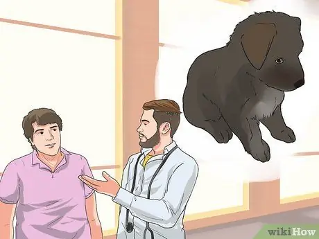 Диагностика эпилепсии у немецких овчарок Шаг 8