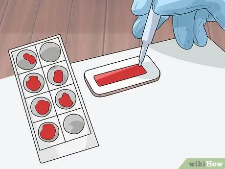 Диагностика эпилепсии у немецких овчарок Шаг 9