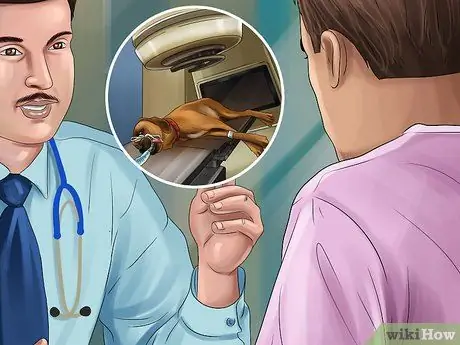 Лечить болезнь простаты у интактных кобелей Шаг 11