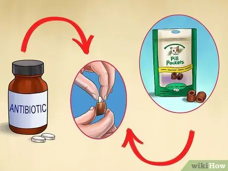 Лечить болезнь простаты у интактных кобелей Шаг 7