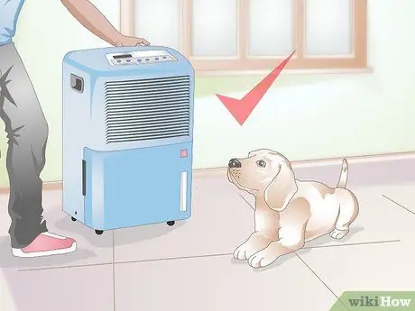 Вылечить питомник от кашля у собак естественным путем Шаг 4