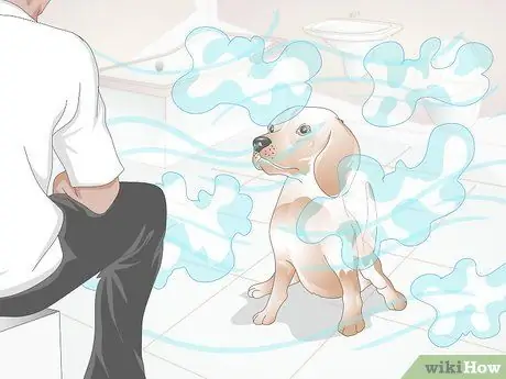 Вылечить питомник от кашля у собак естественным путем Шаг 5