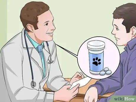 Лечить грипп у собак, шаг 3