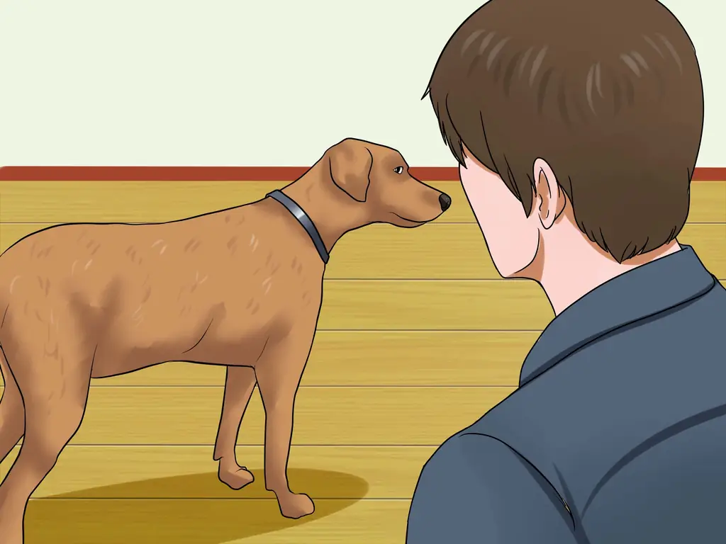 Как лечить собачий грипп: 7 шагов (с иллюстрациями)