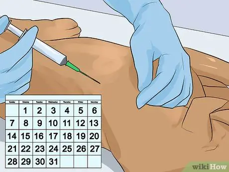 Избавиться от собачьей икоты, шаг 4