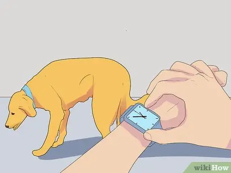 Диагностика кашля у собак Шаг 1