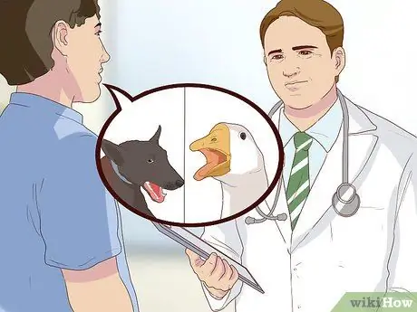 Диагностика кашля у собак Шаг 6