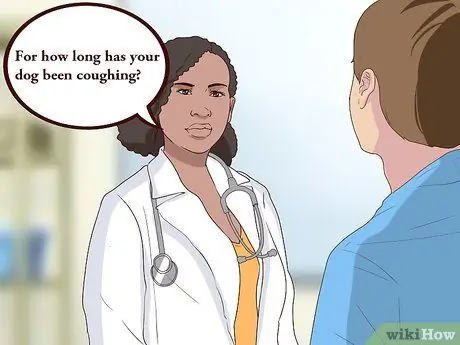 Диагностика кашля у собак Шаг 7