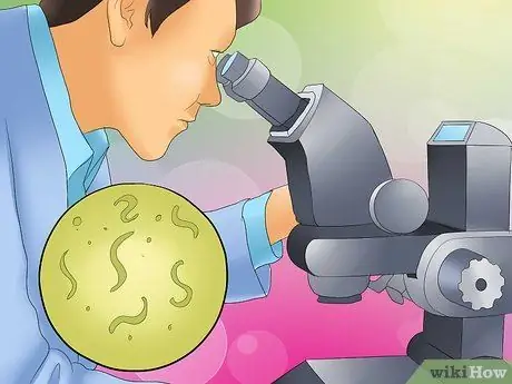 Распознать питомник кашель у собак Шаг 13