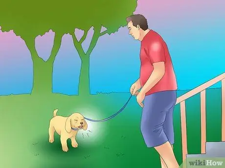 Как распознать кашель у собак, шаг 6