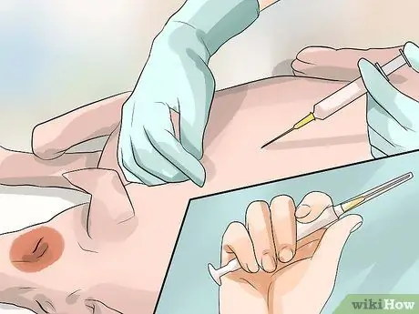 Предотвратить собачий грипп, шаг 4