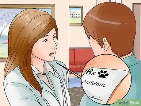 Предотвратить собачий грипп, шаг 8